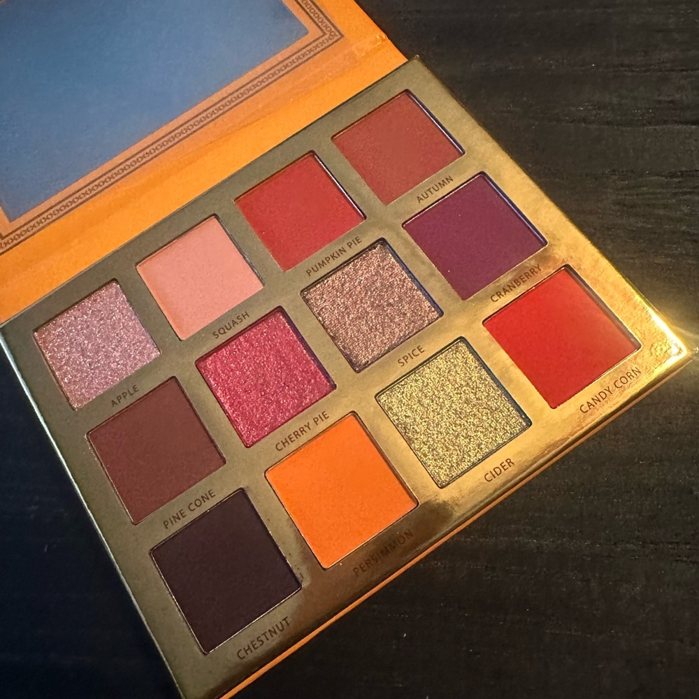 NEW Ace Beaute “falling for you” eyeshadow palette - limited edition
